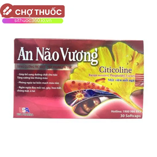 An Não Vương