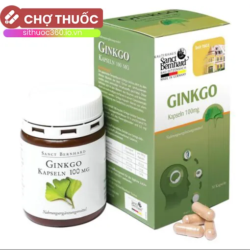 Ginkgo Kapseln 100mg