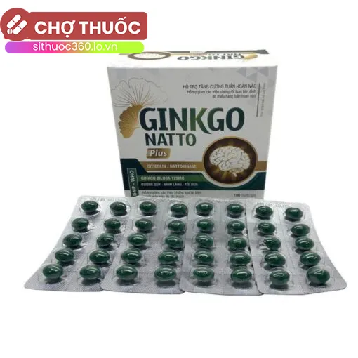 Ginkgo Natto Plus Vinaphar