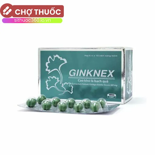 Ginknex