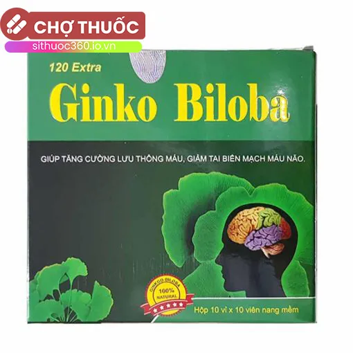 Ginko Biloba 120 Extra