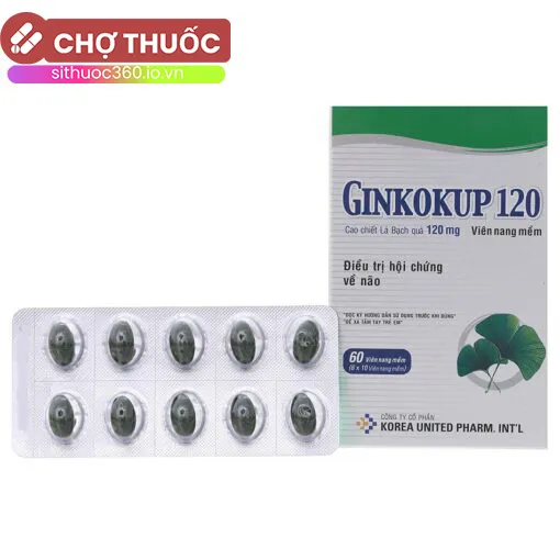 Ginkokup 120