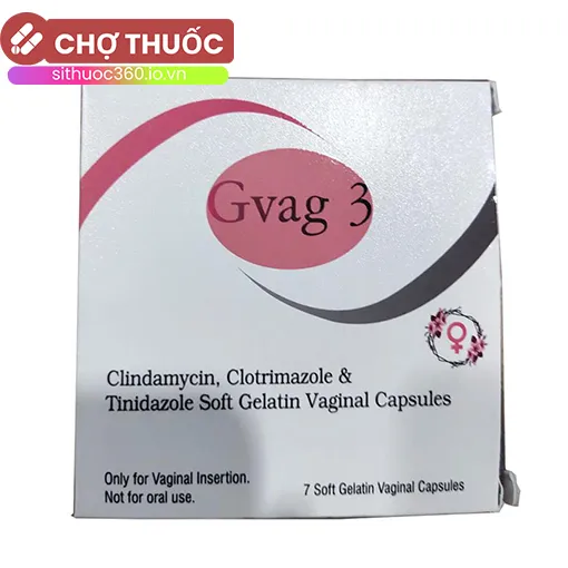 Gvag 3