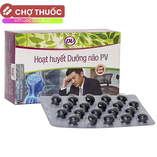 Hoạt huyết Dưỡng não PV