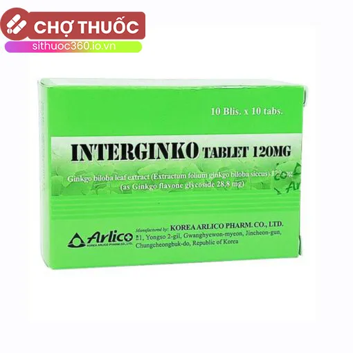 Interginko Tablet 120mg