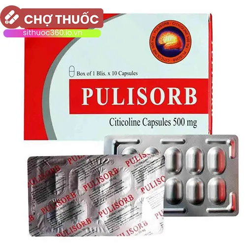 Pulisorb