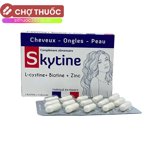 Skytine