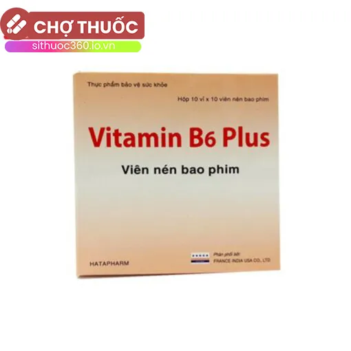 Vitamin B6 Plus Hatapharm